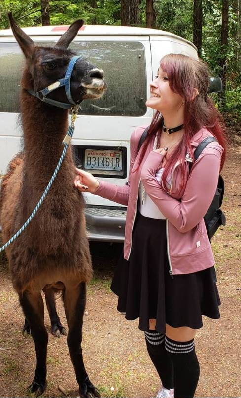 Programmer Eden with Fun Llama Friend